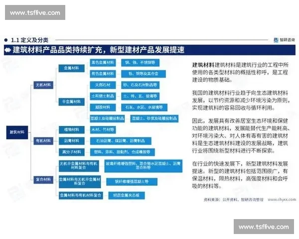 以Type为核心的现代科技应用及其在各行业中的创新与发展趋势分析